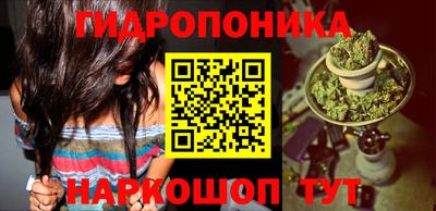дживик Пенза