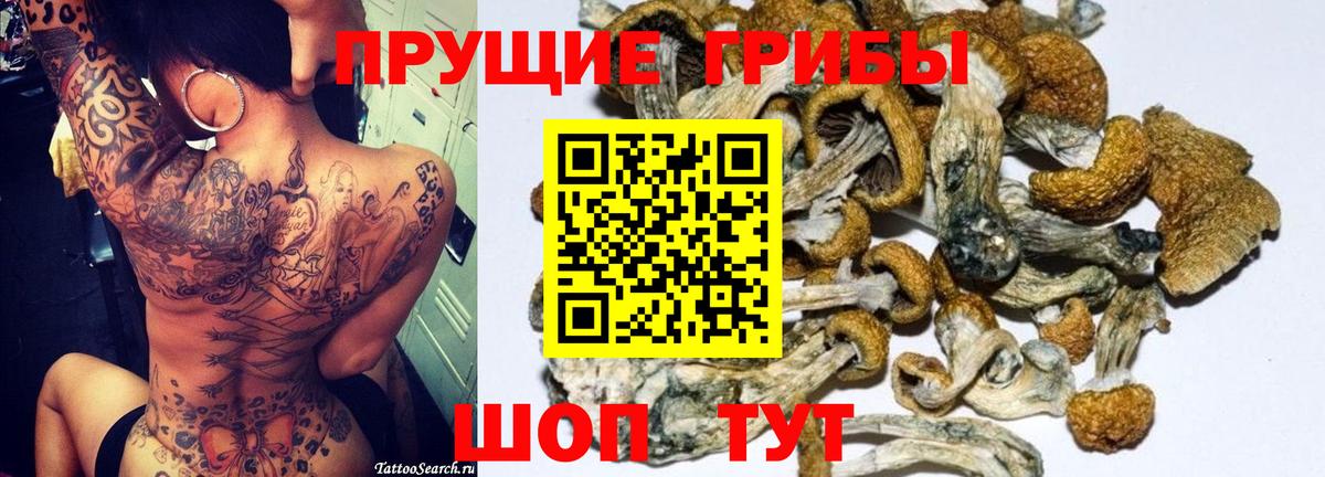 Галлюциногенные грибы Cubensis  Галлюциногенные грибы мухоморы  Прохладный  Вход с VPN 