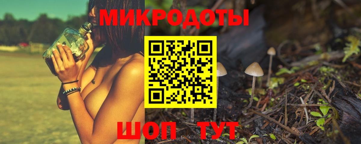 Галлюциногенные грибы Psilocybe Прохладный